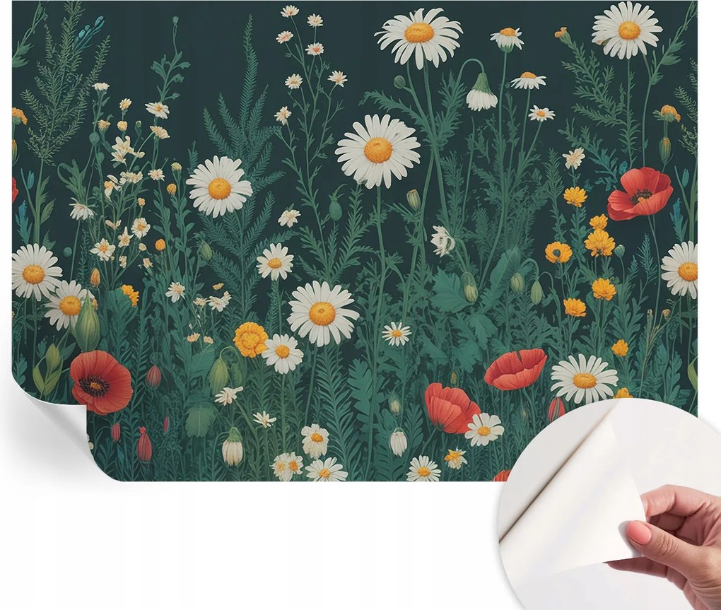 Dekoratív öntapadós fotótapéta Hálószobába Mezei virágok 208x146 cm