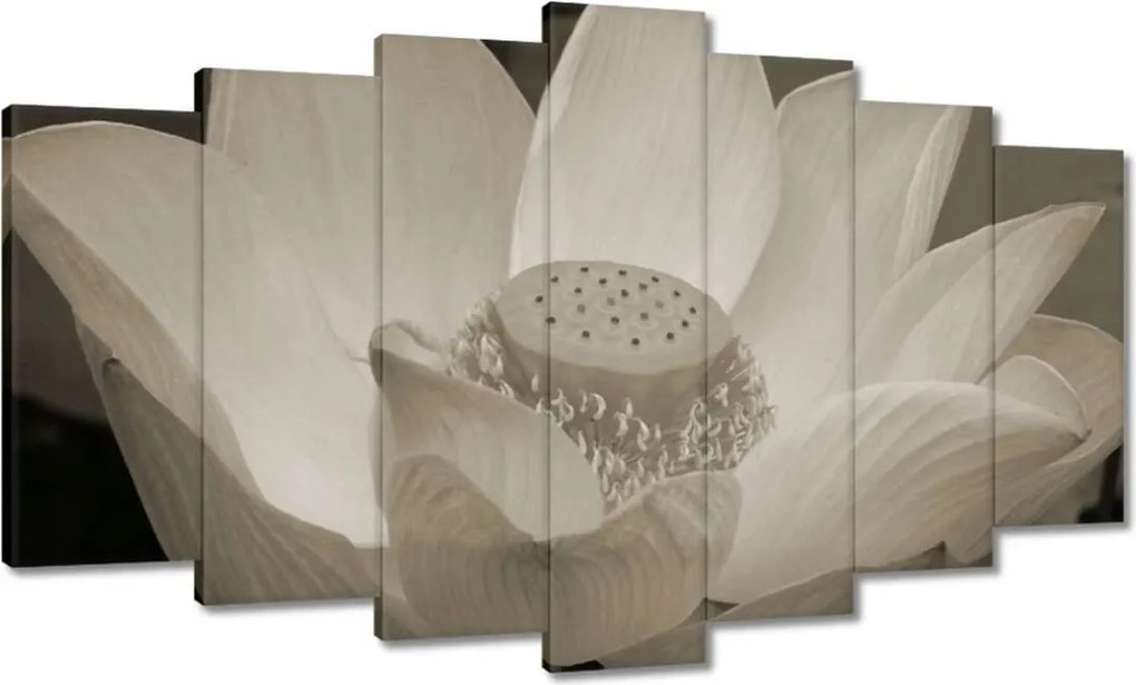 Vászonkép 140x80 Lótusz Lótuszvirág