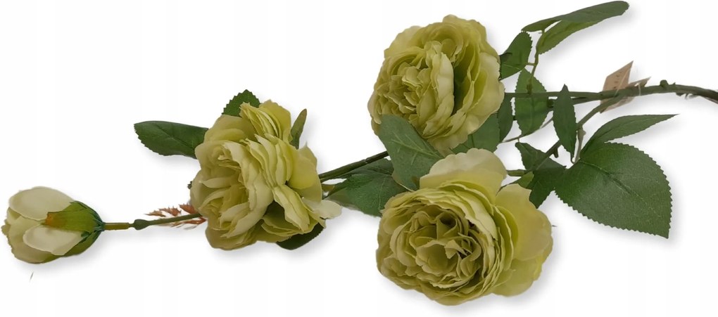 Rózsa Ág Szár Teljes Világos Zöld 65cm