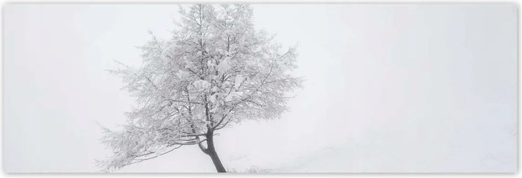 Poszterek 200x66 Fa Kilátás