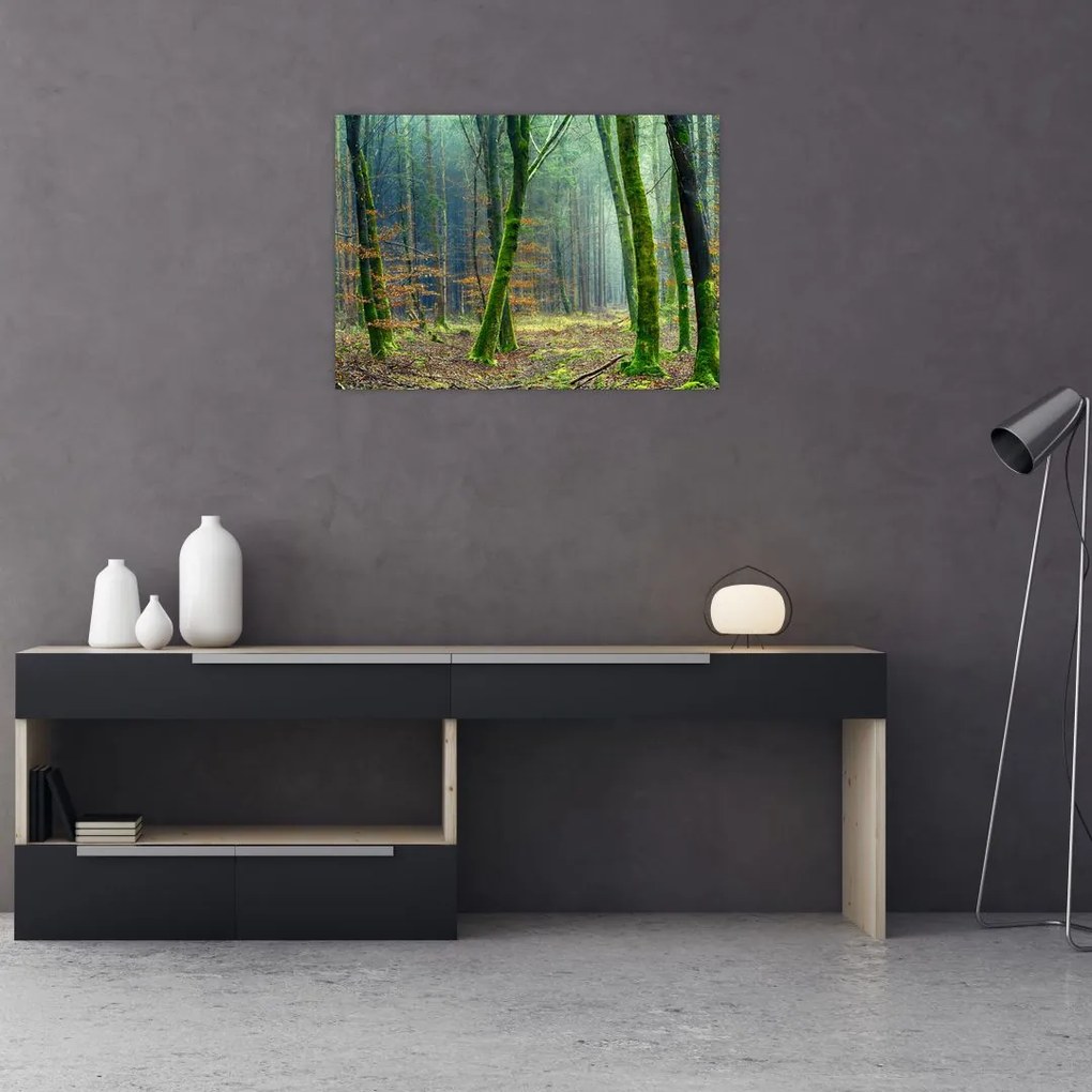 Az erdő képe (üvegen) (70x50 cm)