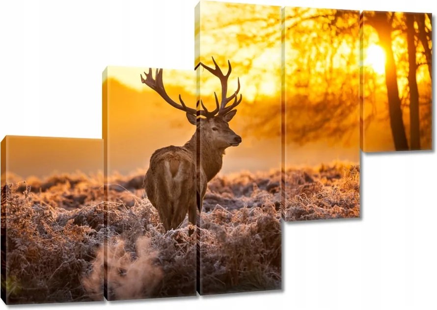 Vászonkép 150x105 Szarvas naplementekor