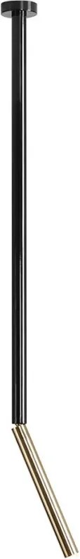 ALDEX 1067PL_G1_L STICK Hengeres Mennyezeti Lámpa Fekete, Arany G9 IP20