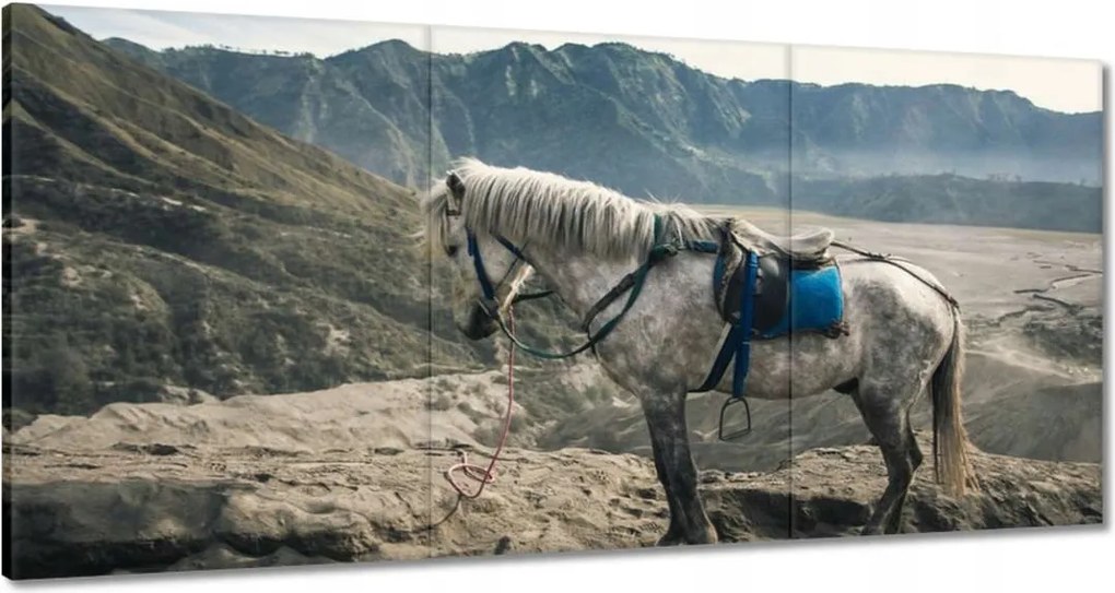 Festmények 180x90 Ló expedíció a hegyekbe