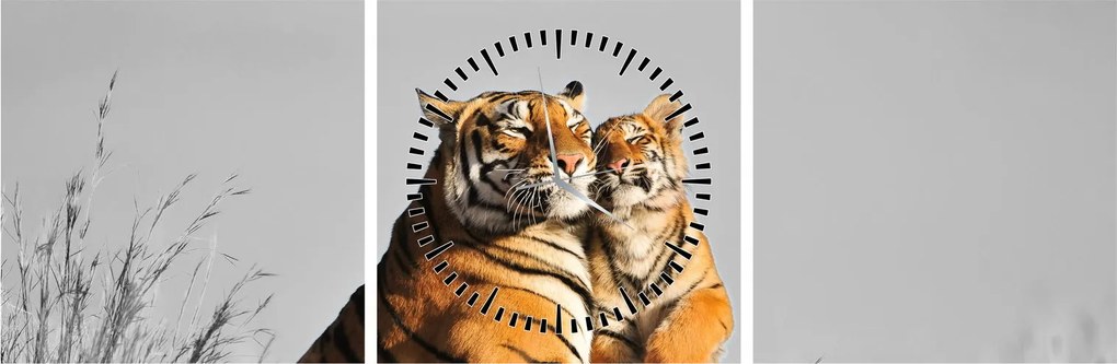 Kép - Tigris és a kölyke, fekete-fehér változat (órával) (90x30 cm)