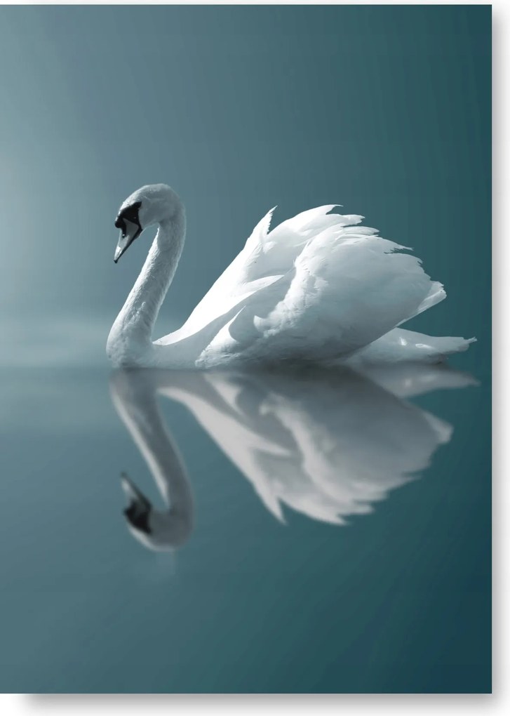 Hattyú Kék Boho poszter 30x40 cm nyomtatás #220