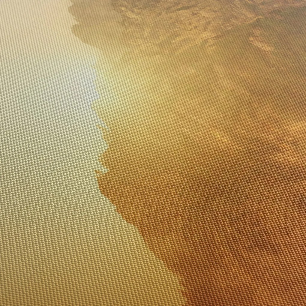 Hegy a ködben képe (120x50 cm)