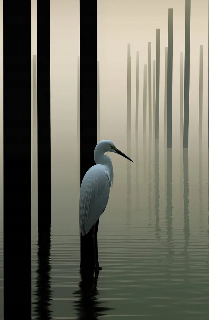 Poszter 56,6x86,4cm Köd a vízen