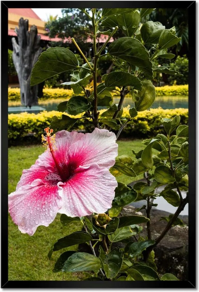 Poszterek keretben 40x60 Virágok