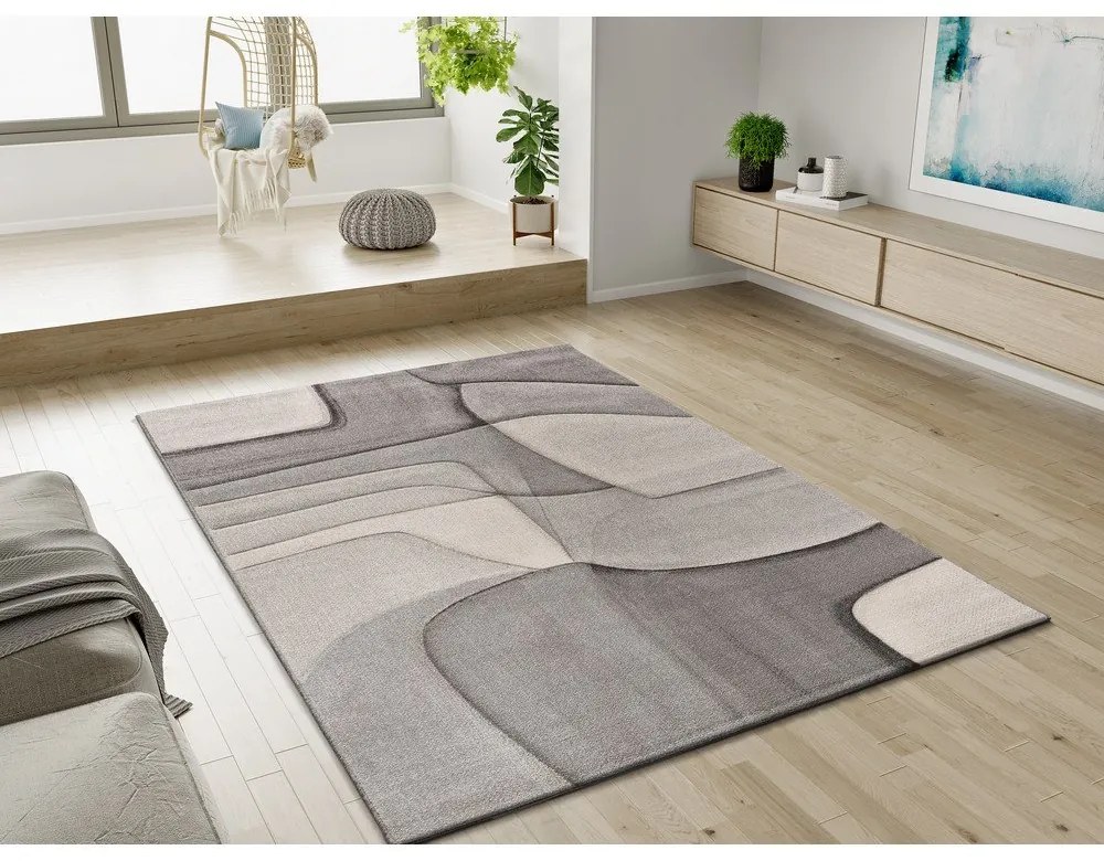 Szürke szőnyeg 160x230 cm Medel – Universal