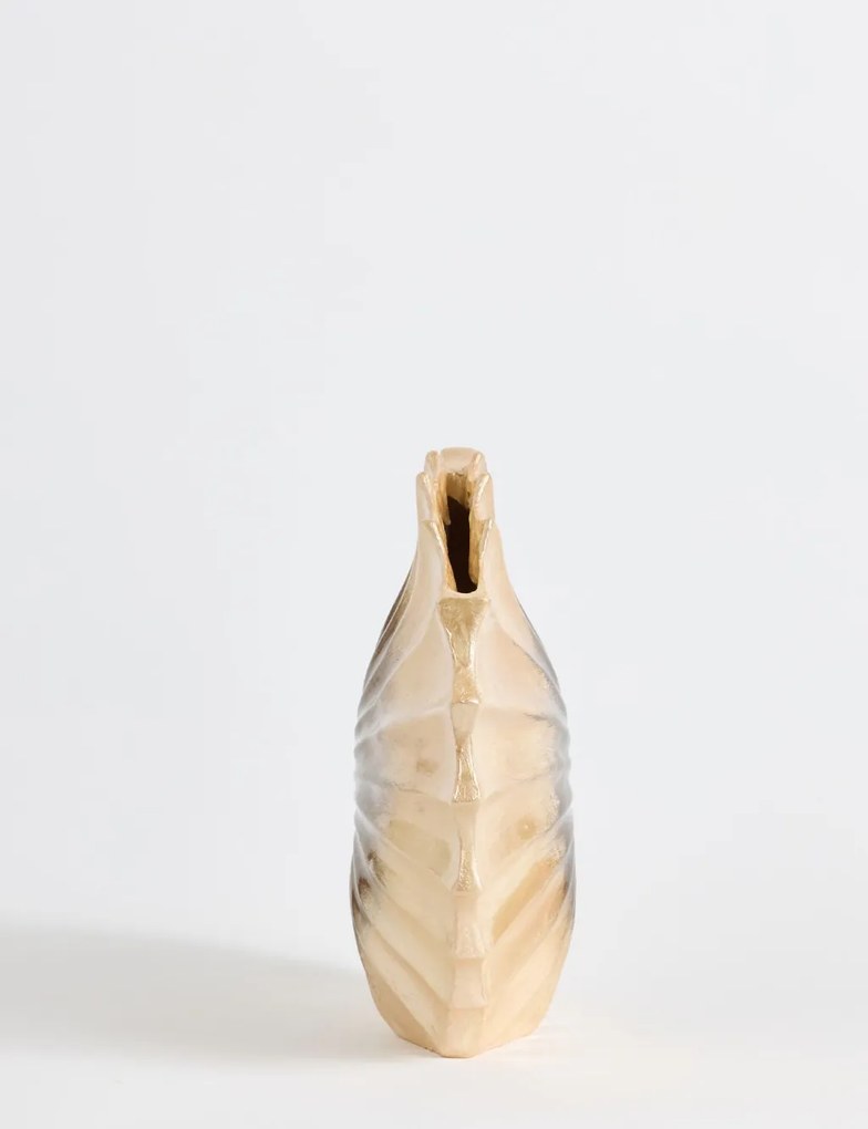 Seashell