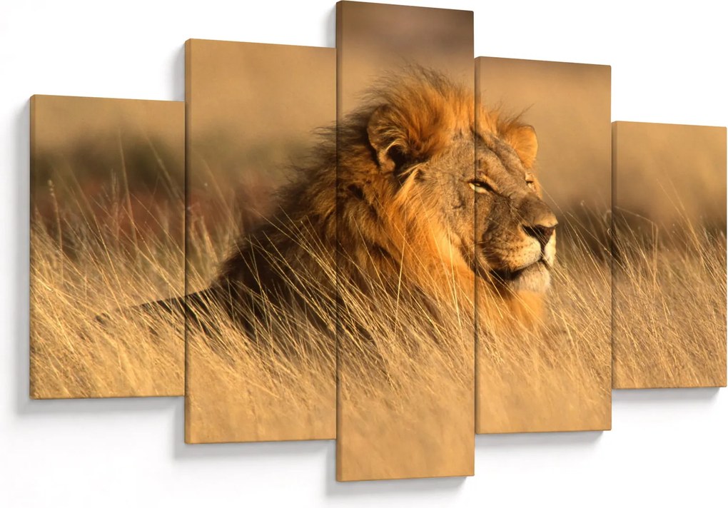 Kép - Etosha Nemzeti Park (150x105 cm)