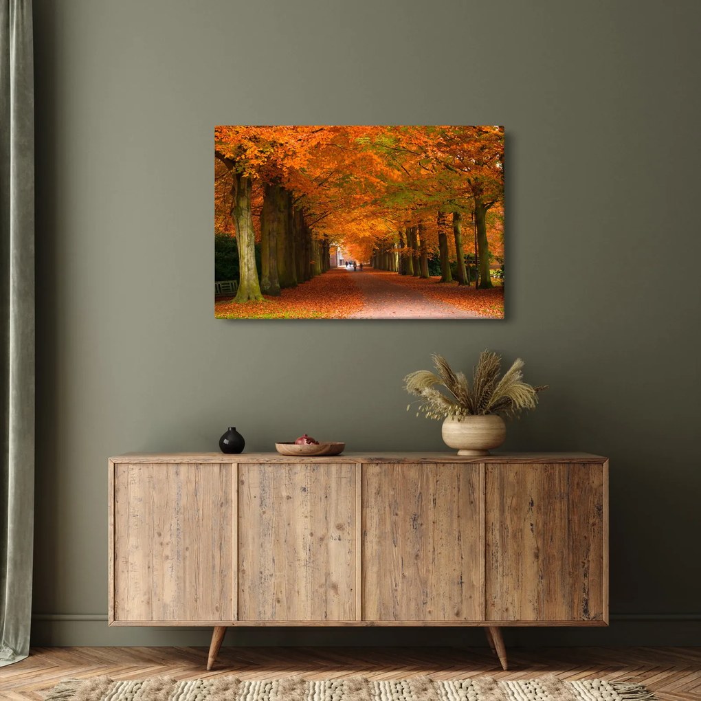Kép - A Avenue of fák ősszel (90x60 cm)