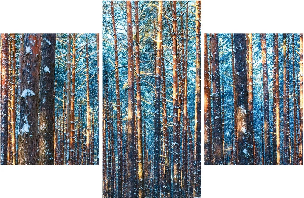 Kép - téli erdő (90x60 cm)
