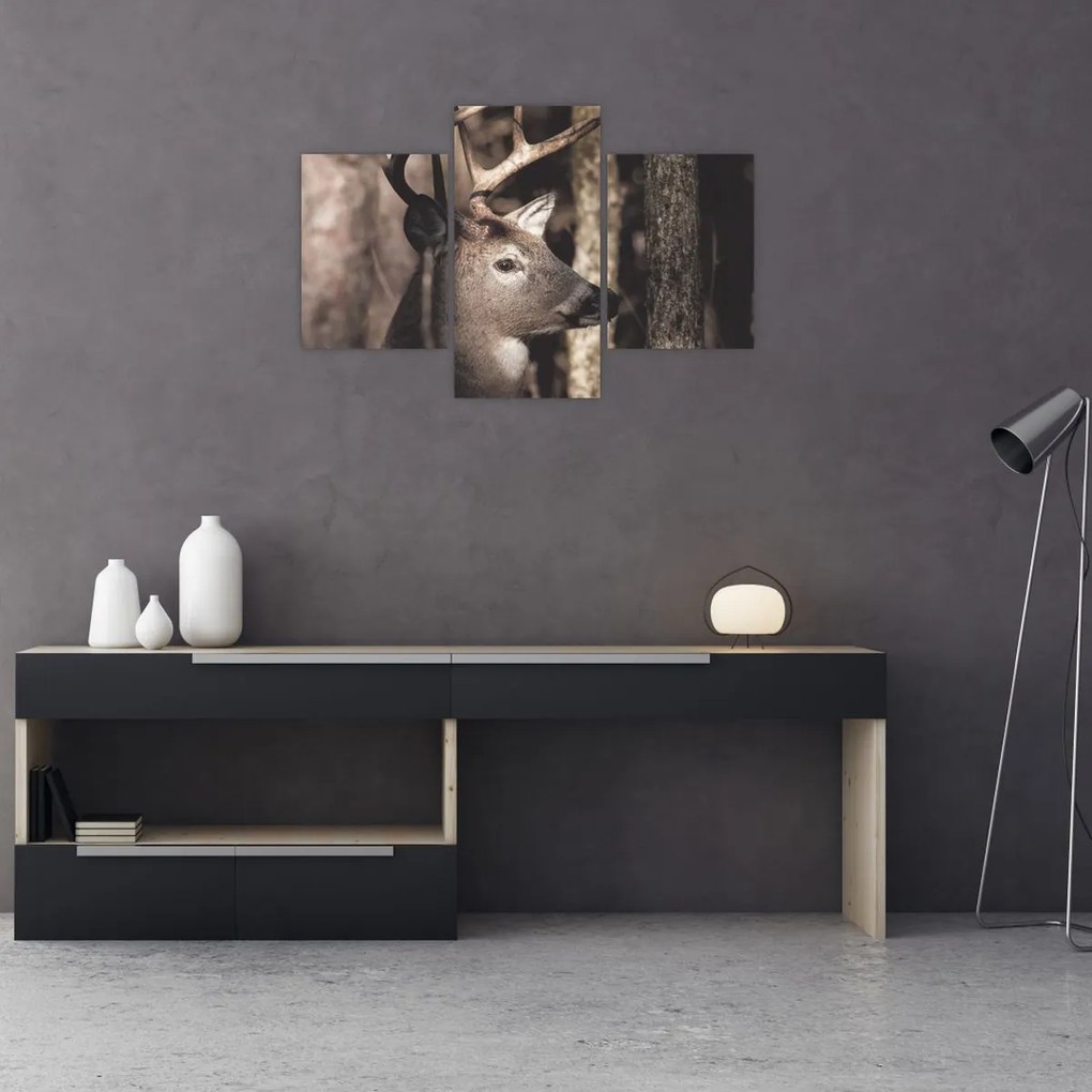 Kép - Szarvas az erdőben (90x60 cm)