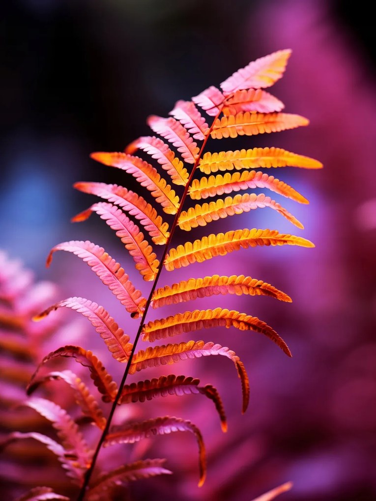 Poszter 60x80cm Őszi tűz