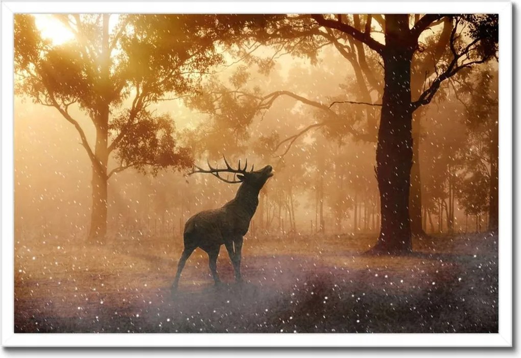Poszterek keretben 60x40 Szarvas az erdőben
