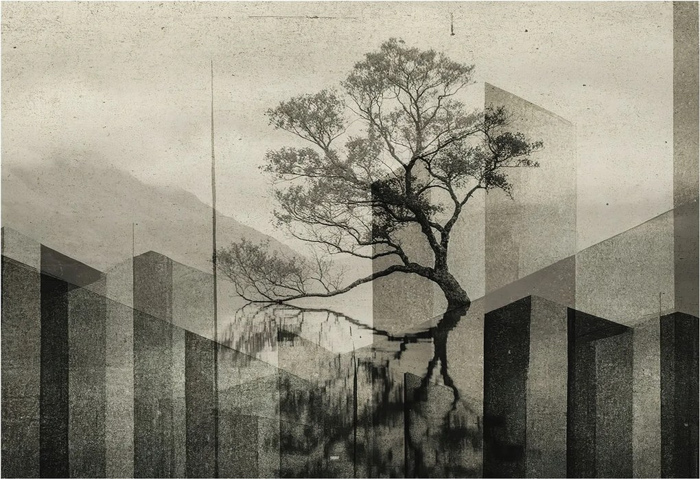 Fotótapéta Flizelin Design Divatos Nyers elegancia 152x104 Ragasztó