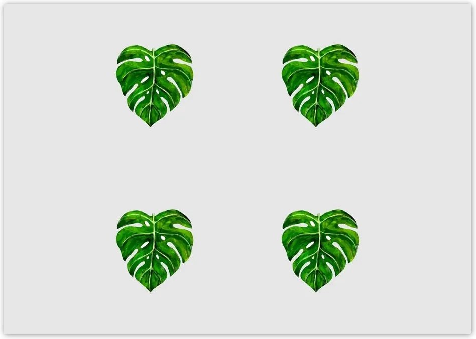 Poszterek A0 Szint Monster lyukas levelek