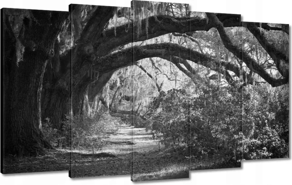 Vászonkép 100x60 Tölgyek a parkban