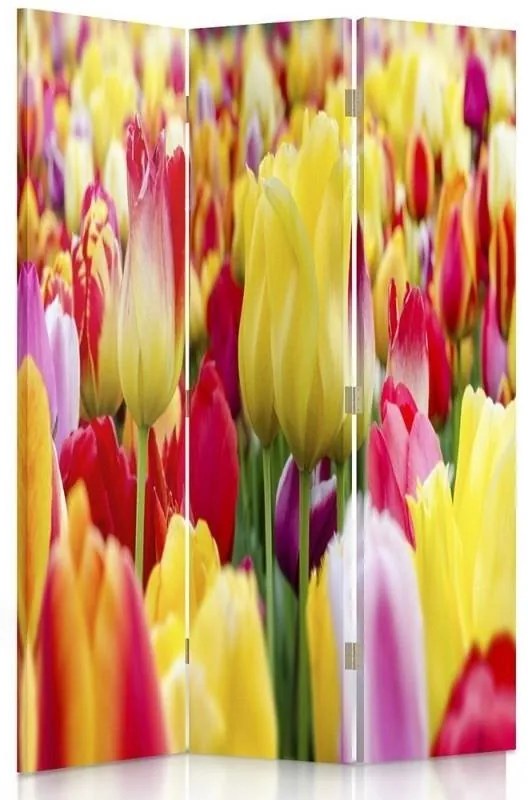 Gario Paraván Többszínu tulipánok Méret: 180 x 170 cm, Kivitelezés: Klasszikus paraván
