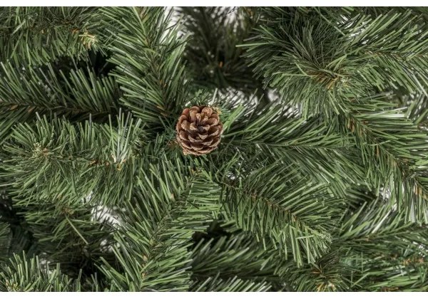 Karácsonyfa NATURAL CONE 100 cm fenyő