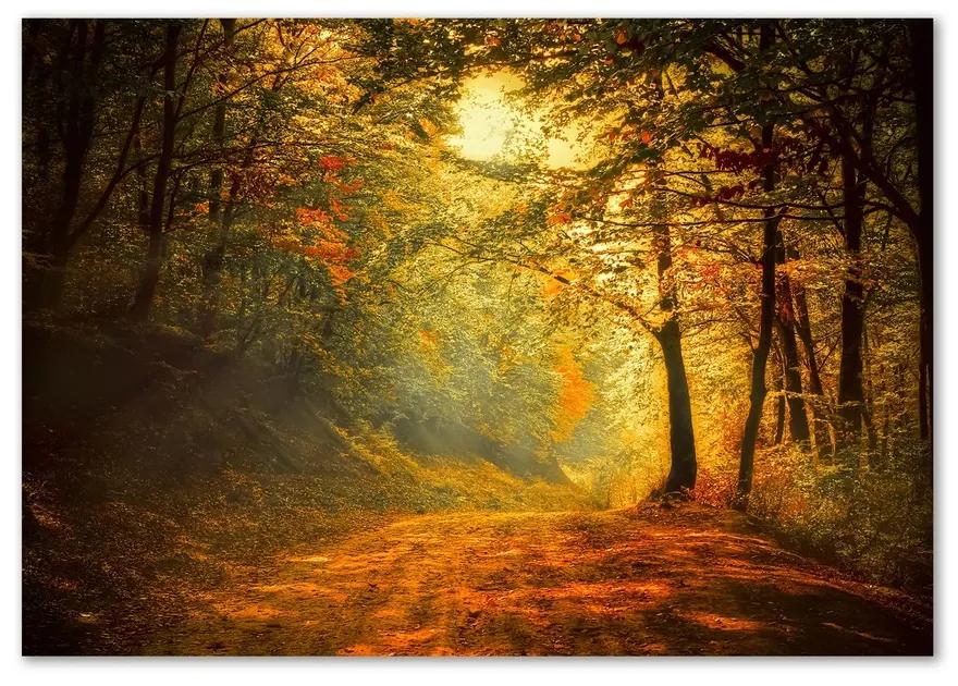 Üvegfotó Erdő ősszel pl-osh-100x70-f-60738927