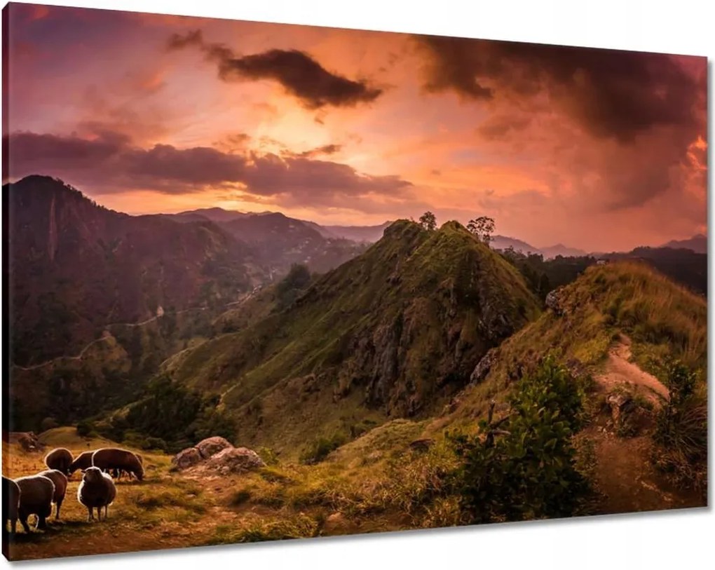 Vászonkép 100x70 Tájkép bárányhegyekkel