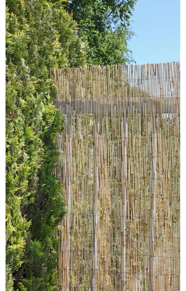 Natúr színű vesszőfonott belátásgátló erkélyre 300x100 cm – Garden Pleasure