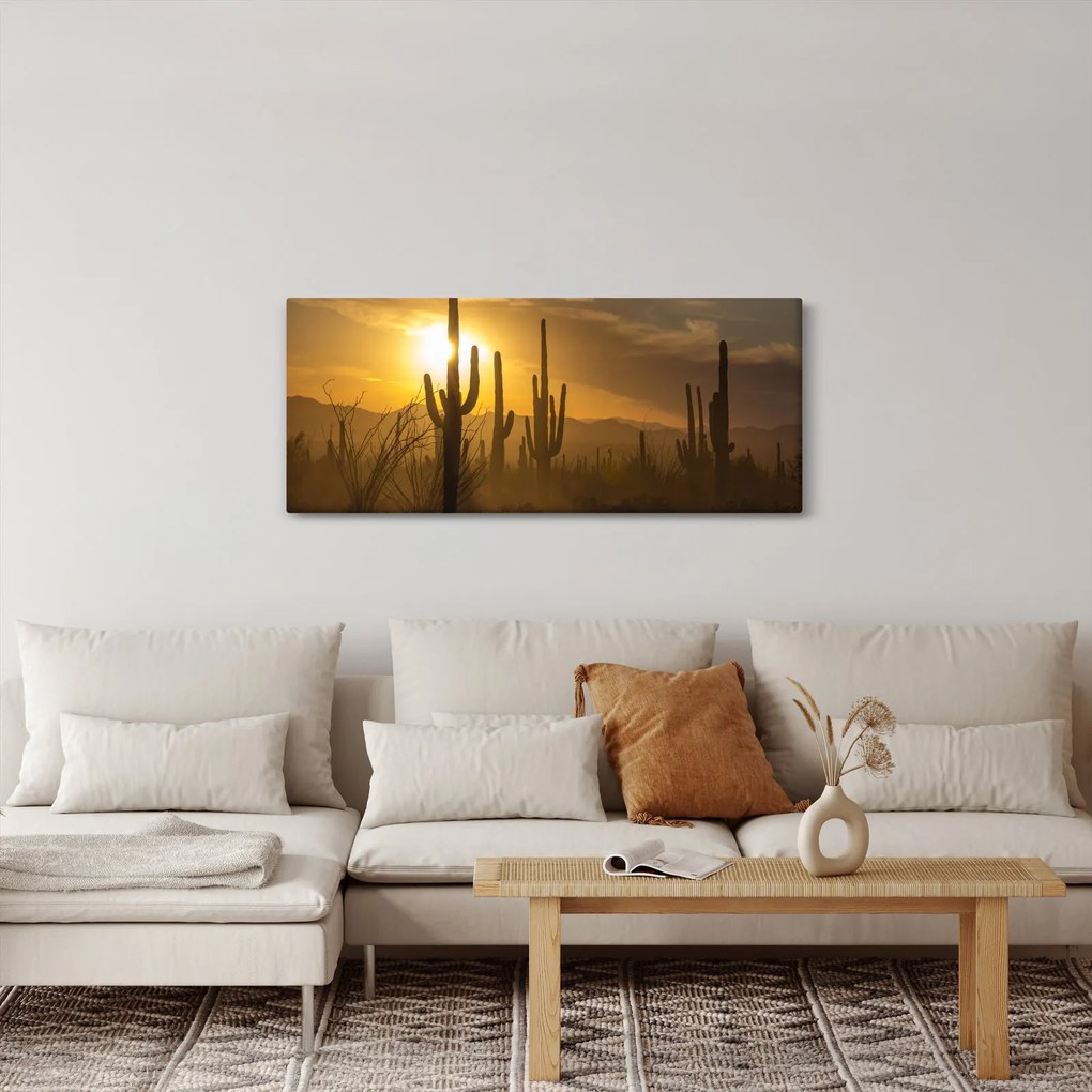 Kép - Saguaro kaktuszok (120x50 cm)