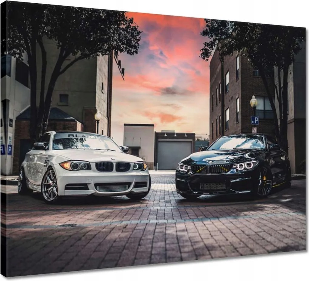 Vászonkép 50x40 Fekete-fehér Nővérek 2