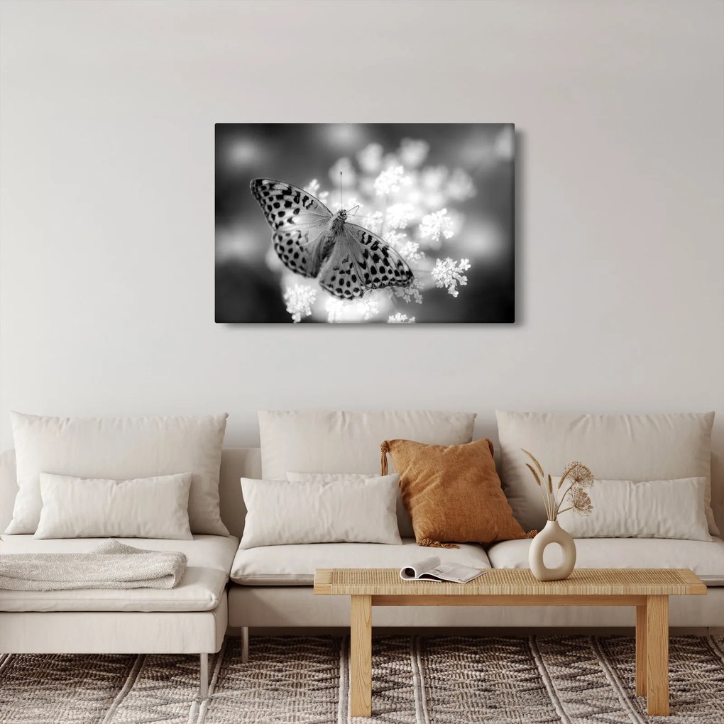 Kép - Részlet egy virágot beporzó pillangóról (90x60 cm)