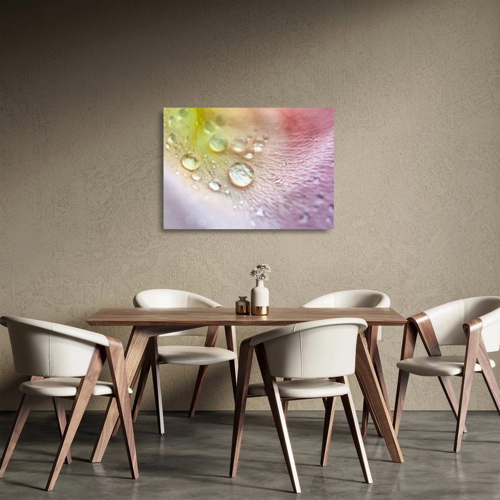 Üveg kép - Harmatcseppek (70x50 cm)