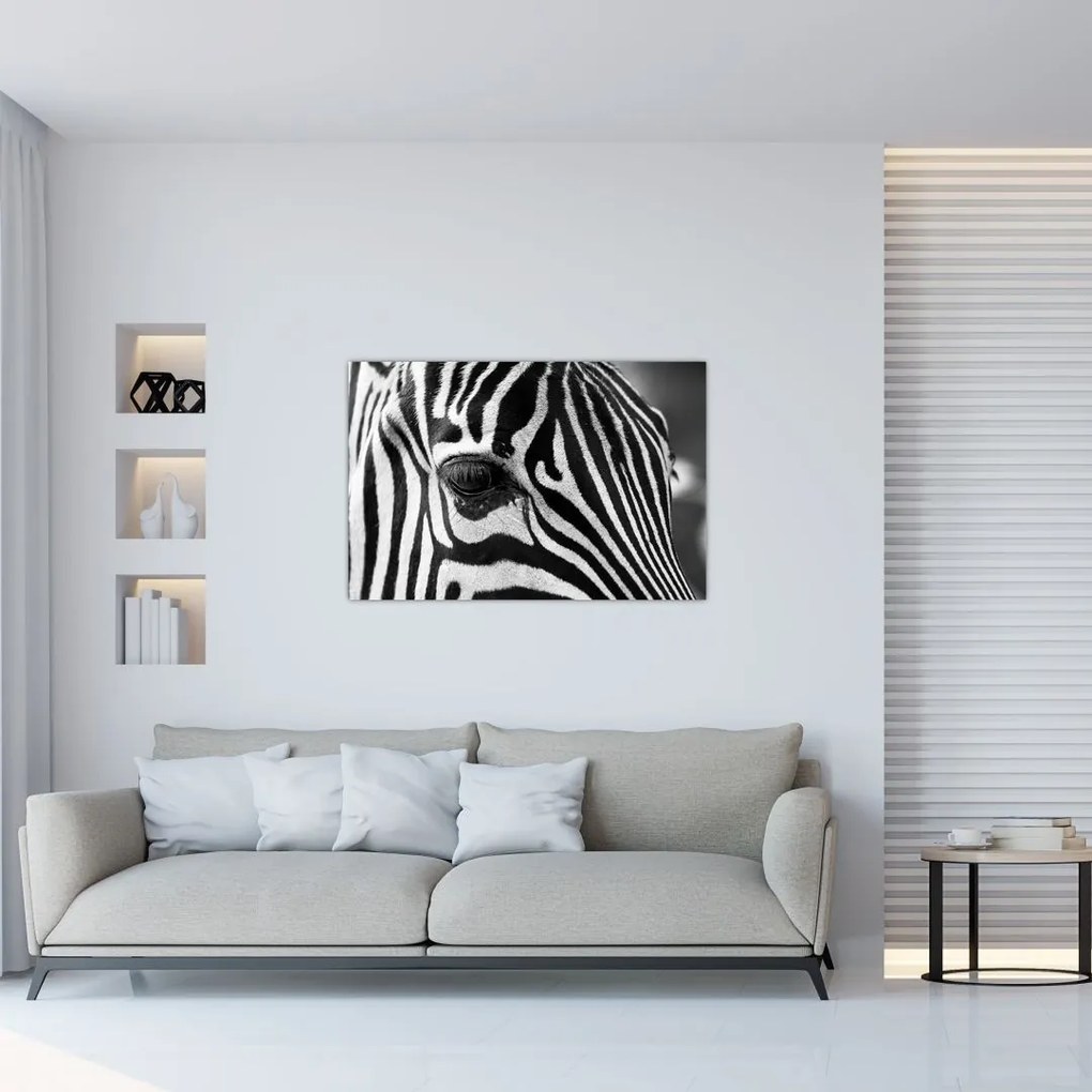 Zebra képe (90x60 cm)