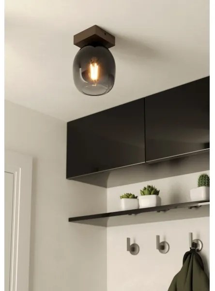 Eglo 900825 - Mennyezeti lámpa FILAGO 1xE27/40W/230V