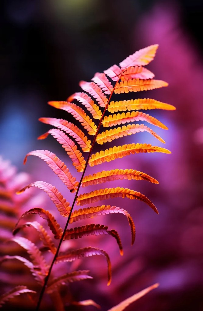 Poszter 53x81cm Őszi tűz