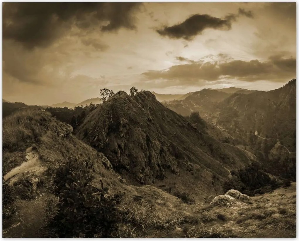 Poszterek 50x40 Barna tájkép Tájkép