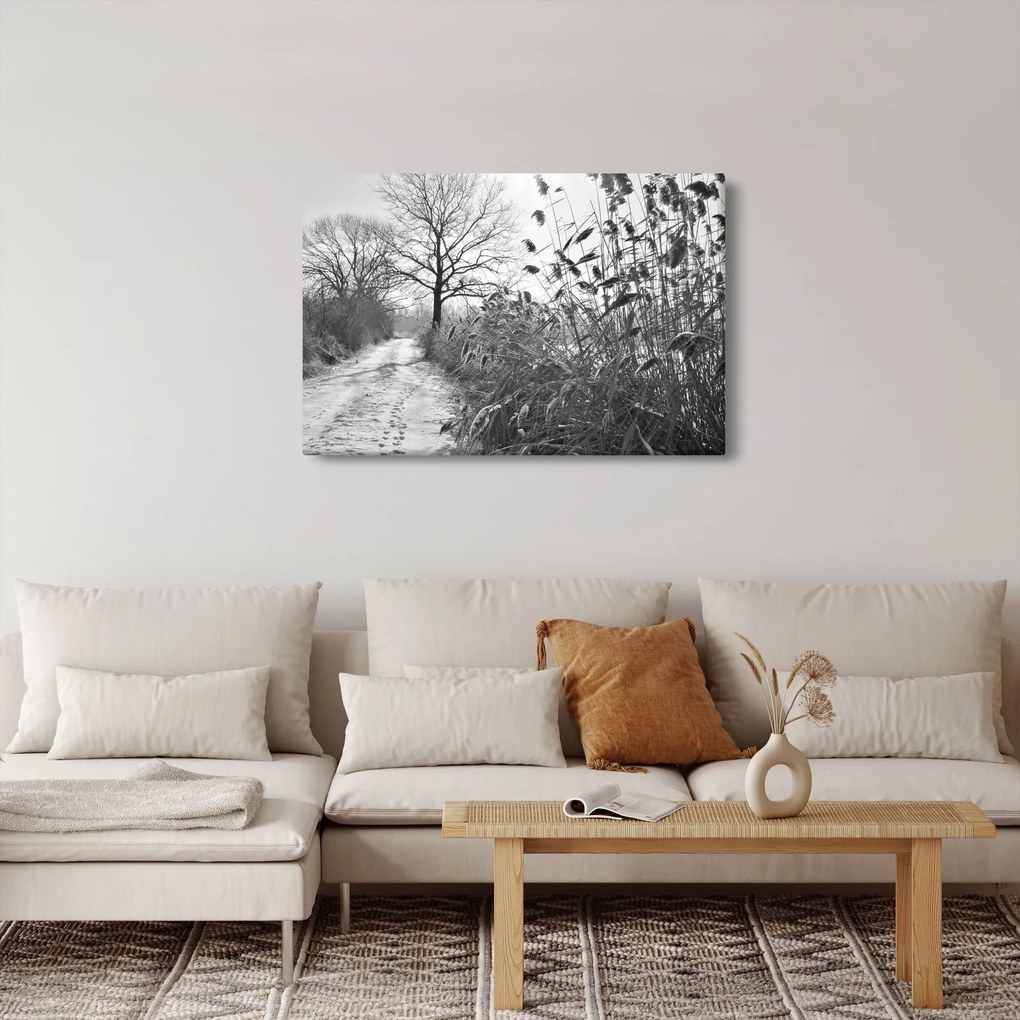 Kép - Mezők télen (90x60 cm)