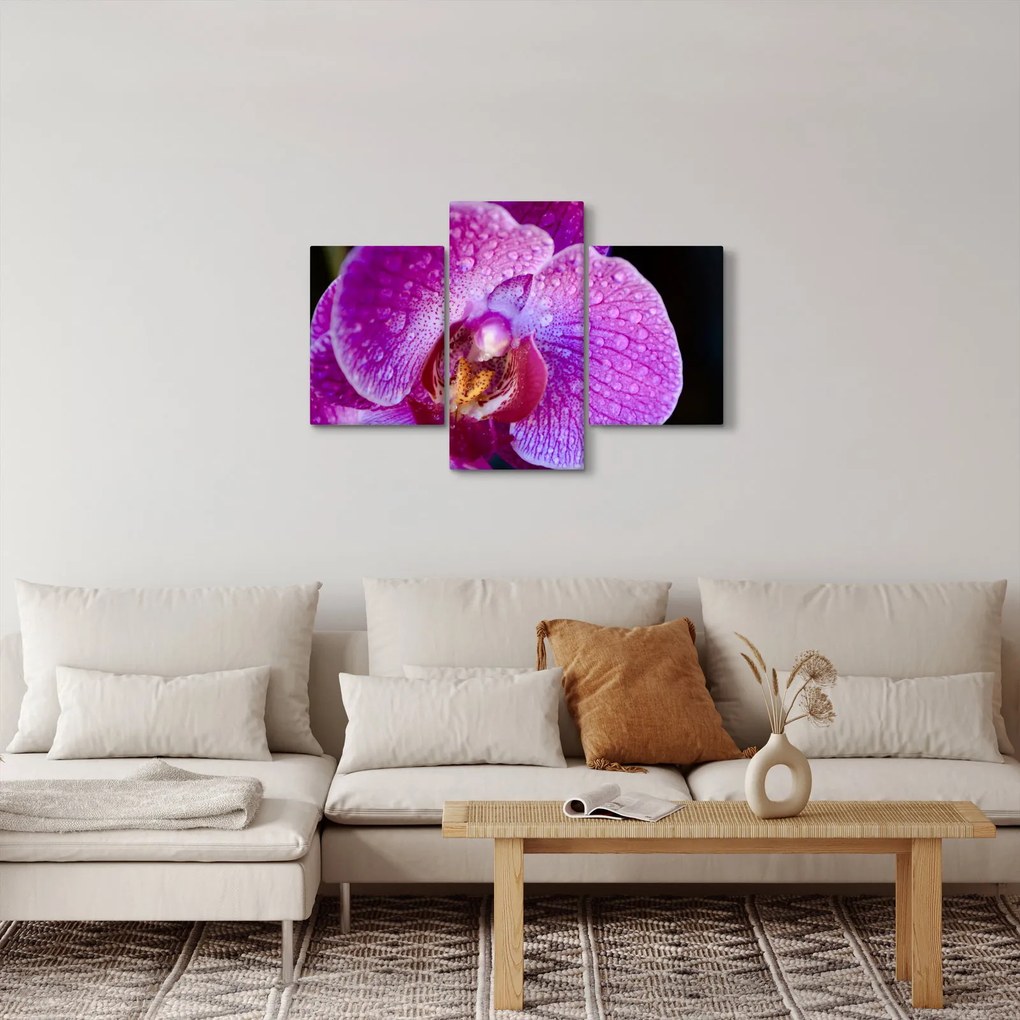 Részletes kép az orchidea virágról (90x60 cm)