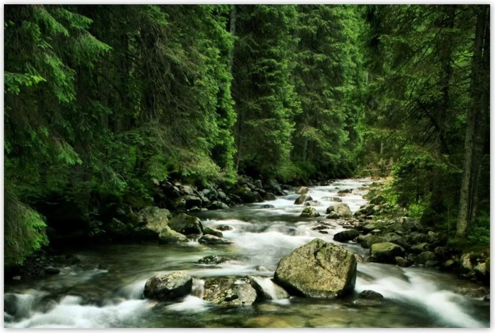 Poszterek 120x80 Folyó a Tátrában