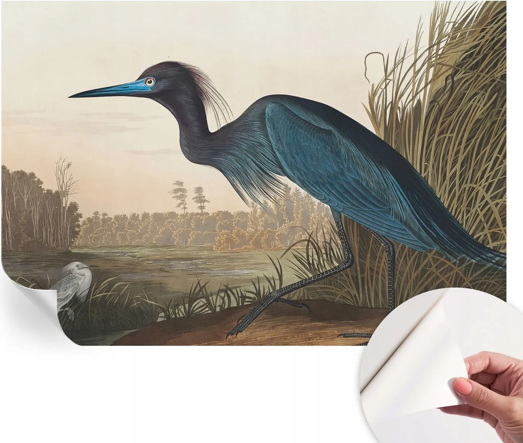 Mosható öntapadós fotótapéta étkezőbe Vízparti madarak 152x104 cm