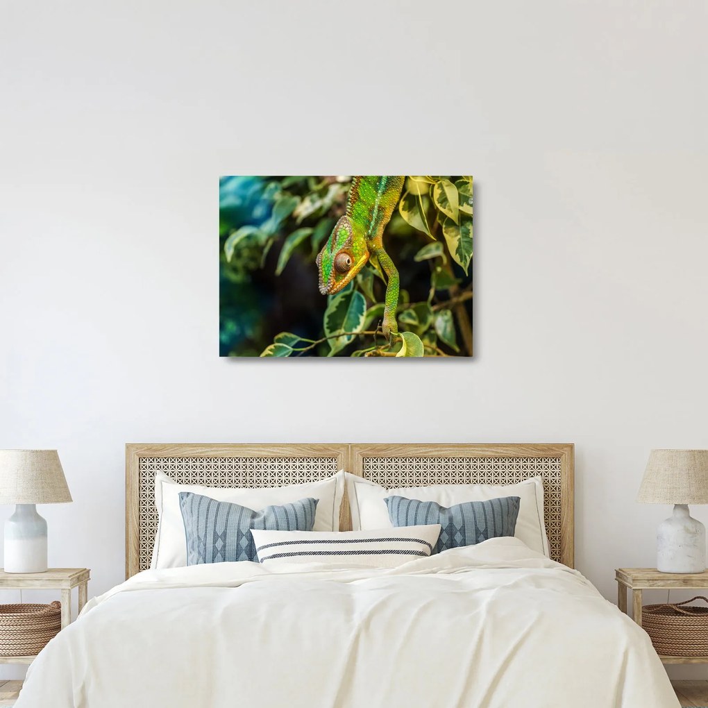 Kaméleon képe (üvegen) (70x50 cm)