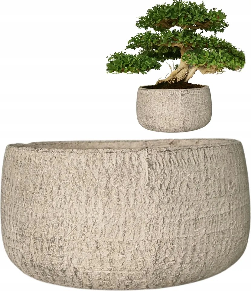 Lapos Virágtartó Alacsony Bonsai Nagy 24cm kerek cement szürke nappaliba