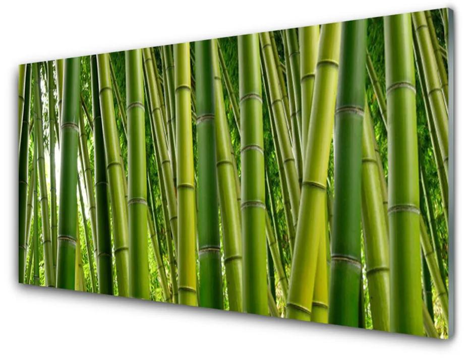 Üvegkép Bambuszrügy Bamboo Forest 140x70 cm