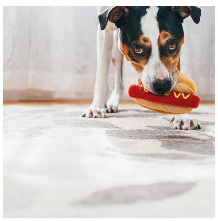 Játék kutyáknak Hot Dog - P.L.A.Y.