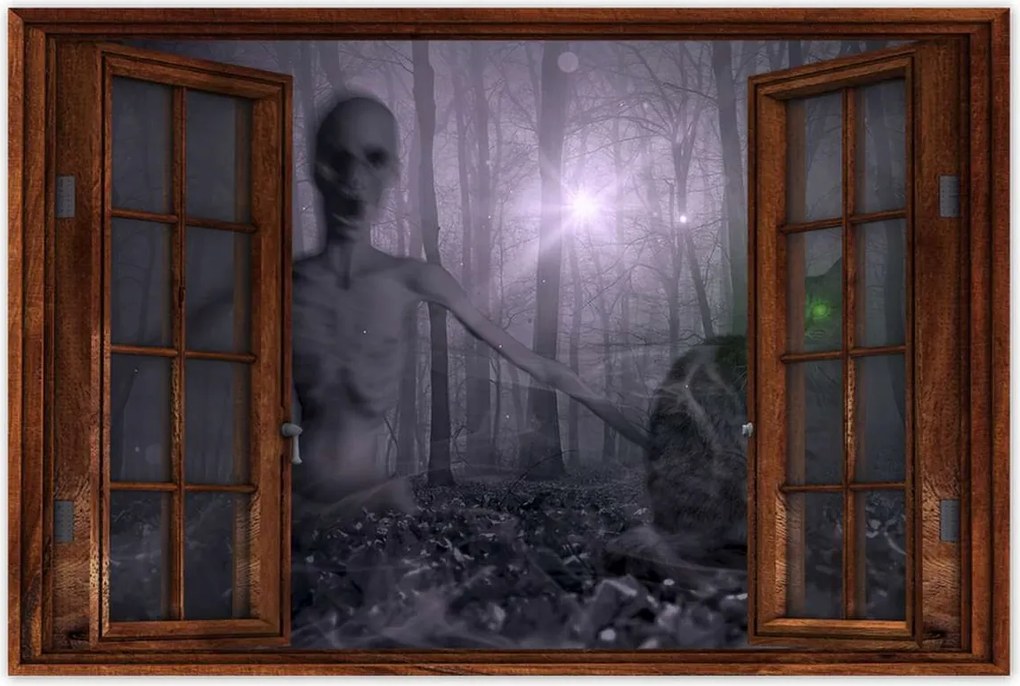 Poszterek 60x40 Macska Alien Lime Macskák