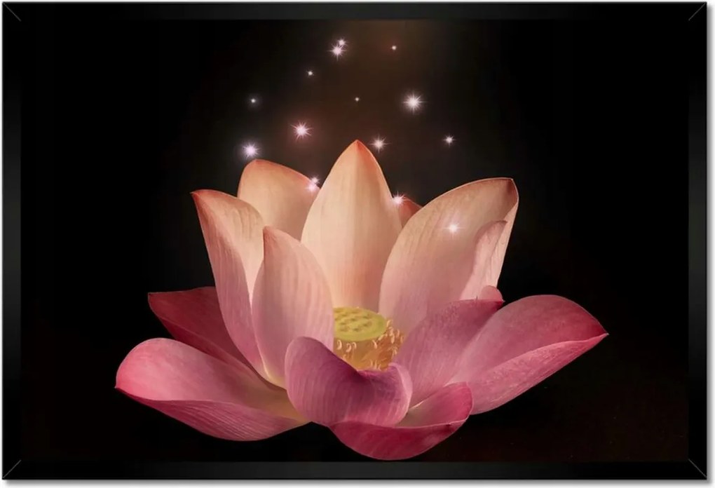 Poszter keretben 60x40 Rózsaszín lótuszvirág