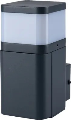 Brilagi - PILLAR kültéri fali lámpa SCHUKO aljzattal 1xG9/11W/230V IP44 antracit