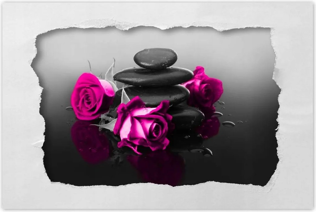 Poszterek 60x40 Rózsaszín rózsa Spa Wellness
