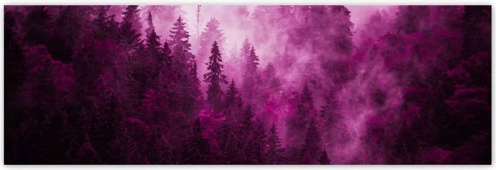 Fotótapéták 200x66 Tájkép Rózsa Hegyek Köd